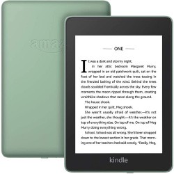 Amazon Kindle Paperwhite 2018 8GB (шалфей)